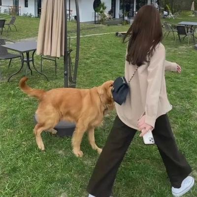 死亡照相术